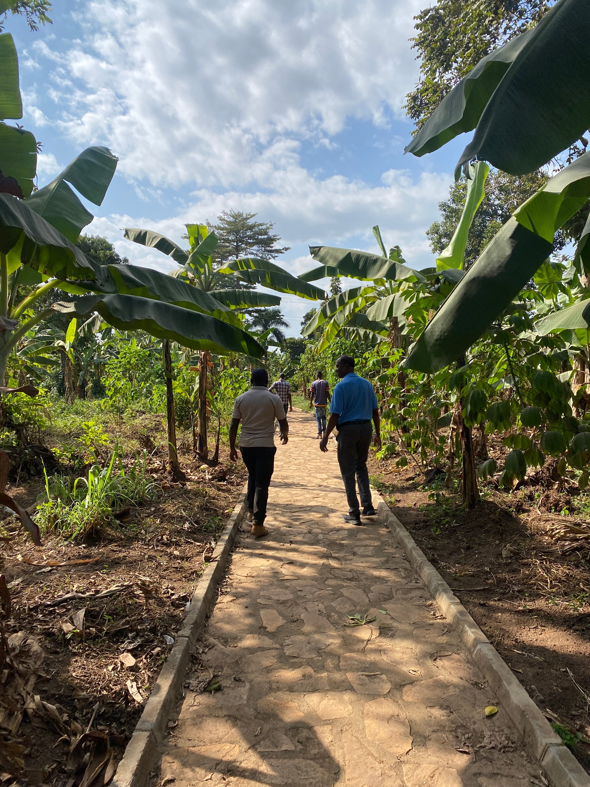 Nasozi's luscious family farm in Uganda